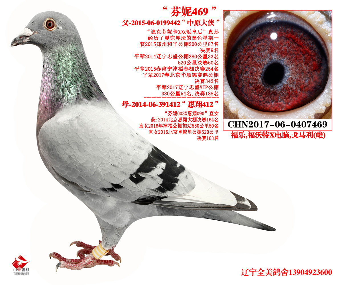 辽宁.全美 - 中信网铭鸽展厅 www.ag188.com