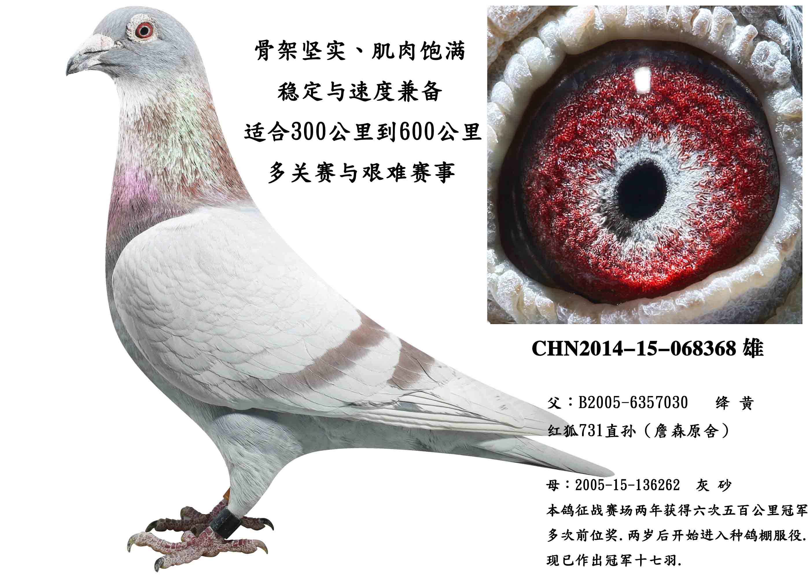 >> 查看拍卖商品