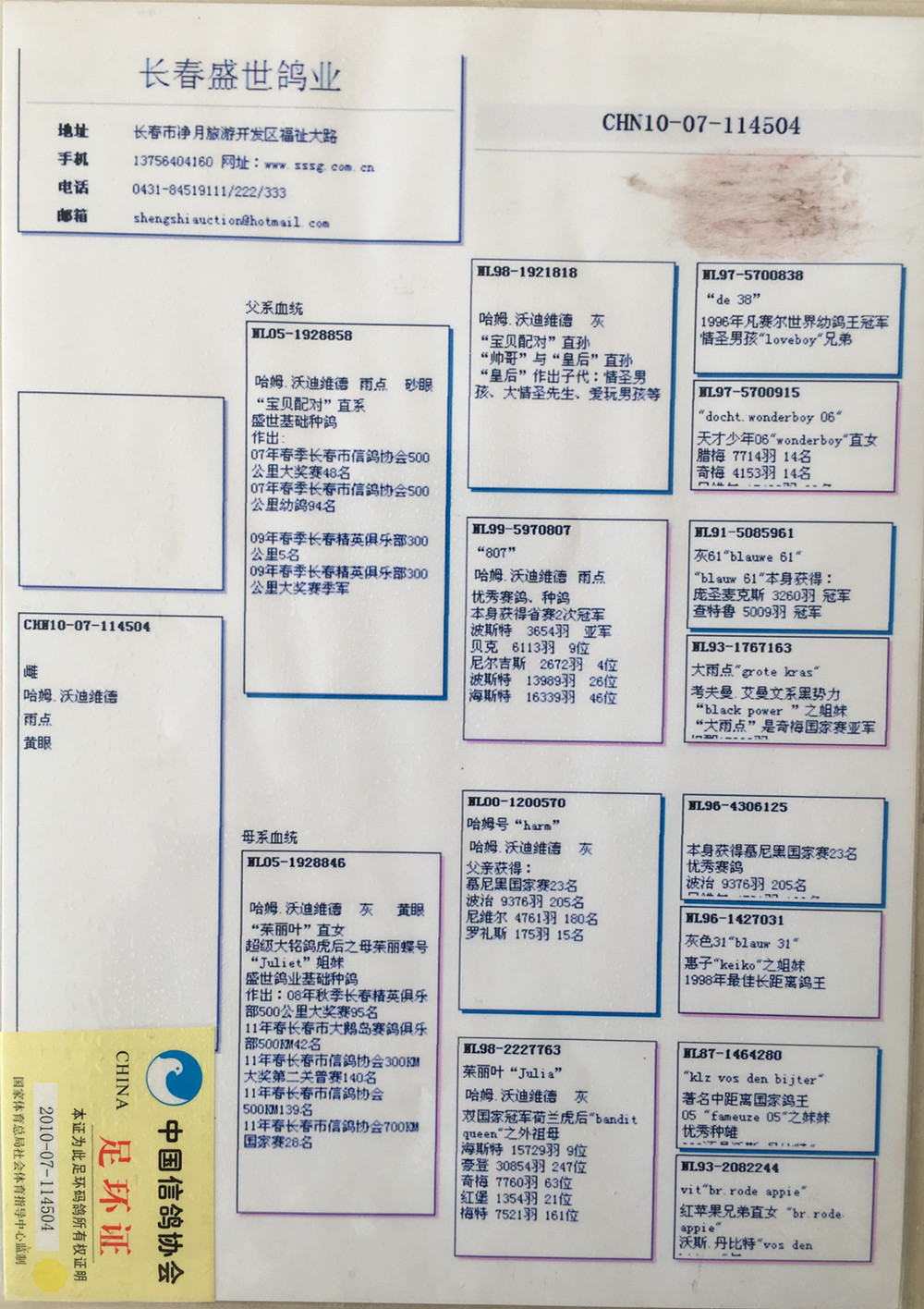 信鸽在线拍卖平台 - 中国信鸽信息网