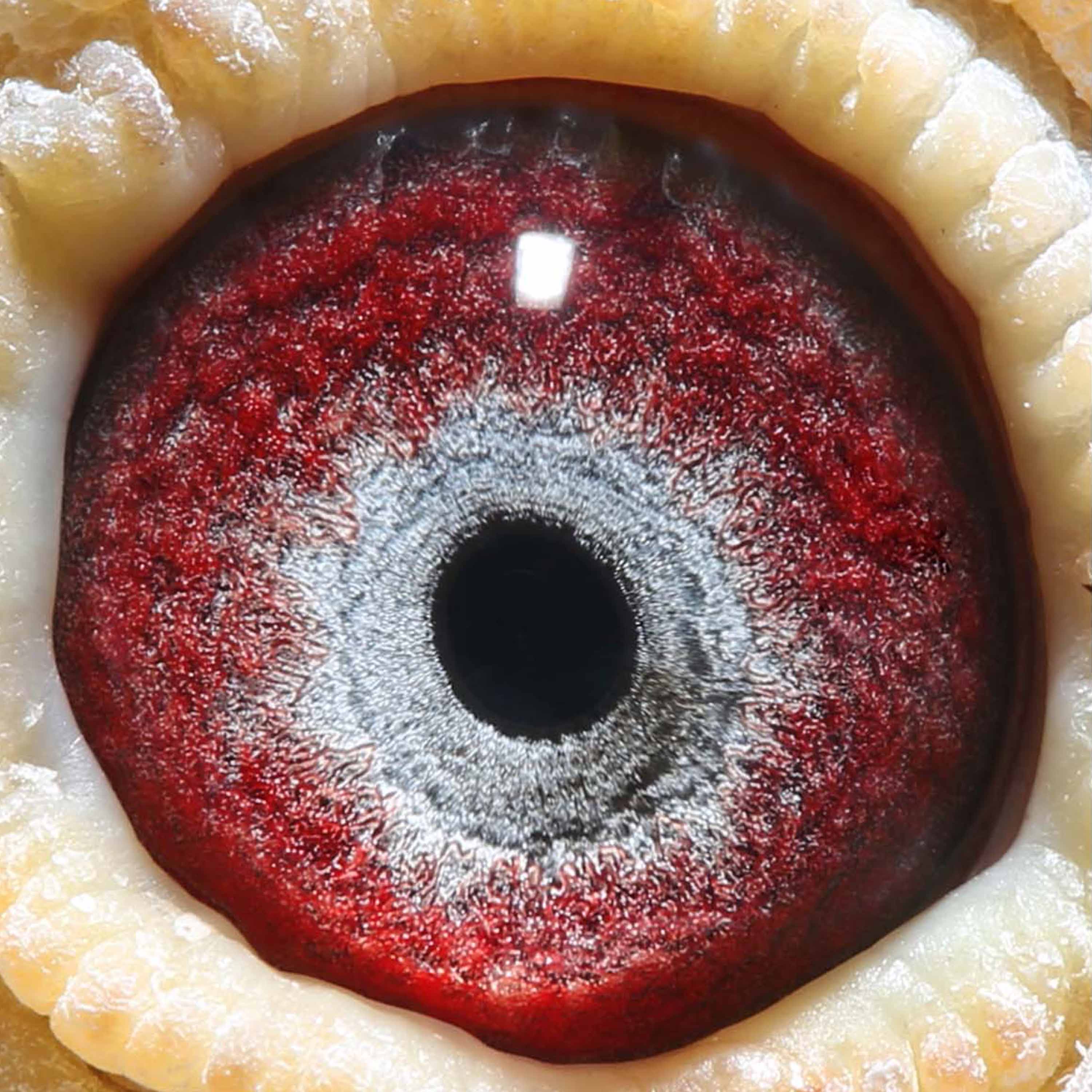 >> 查看拍卖商品