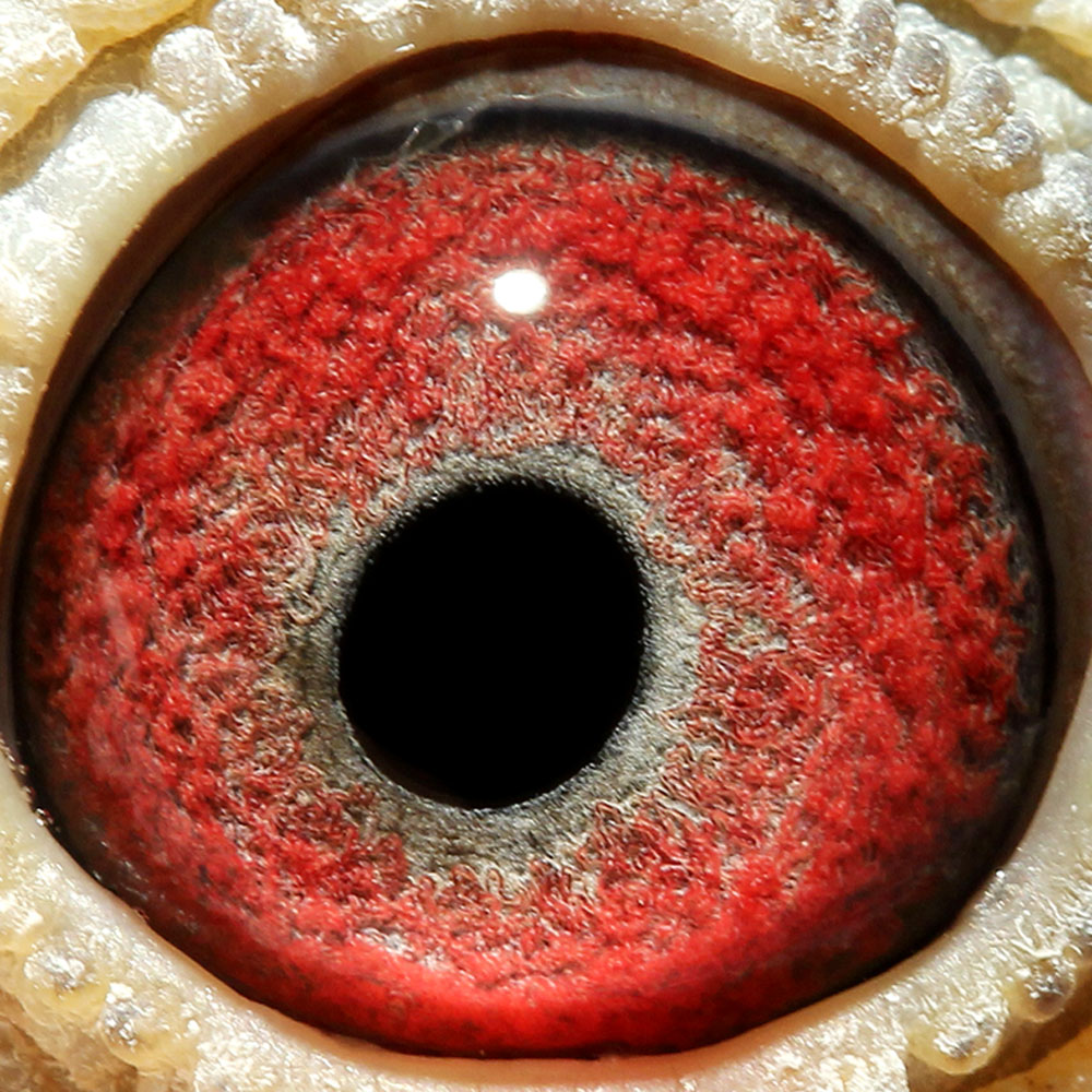 >> 查看拍卖商品