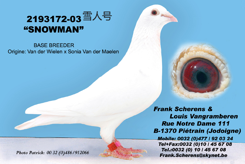 信鸽在线拍卖平台 - 中国信鸽信息网