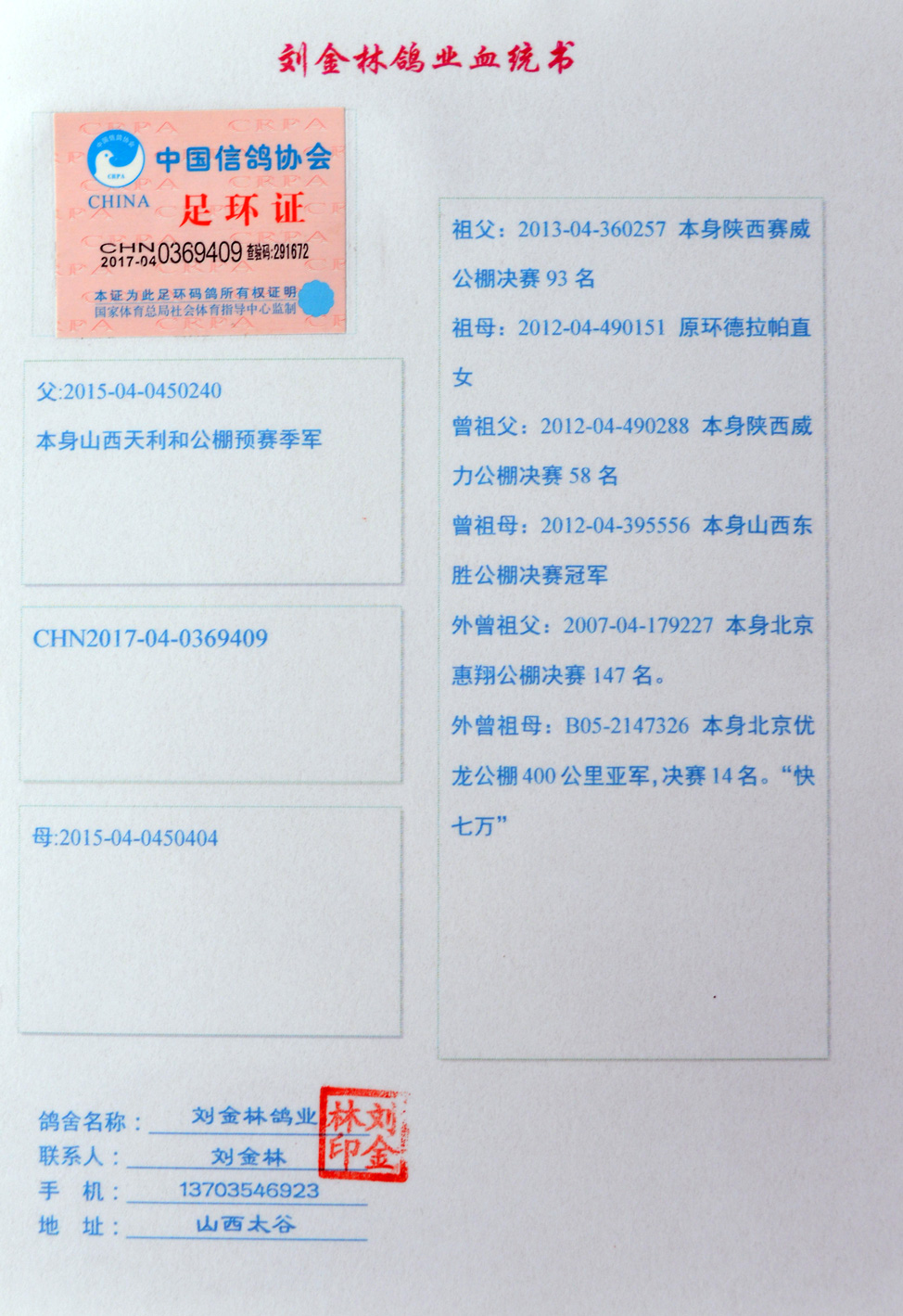 信鸽在线拍卖平台 - 中国信鸽信息网