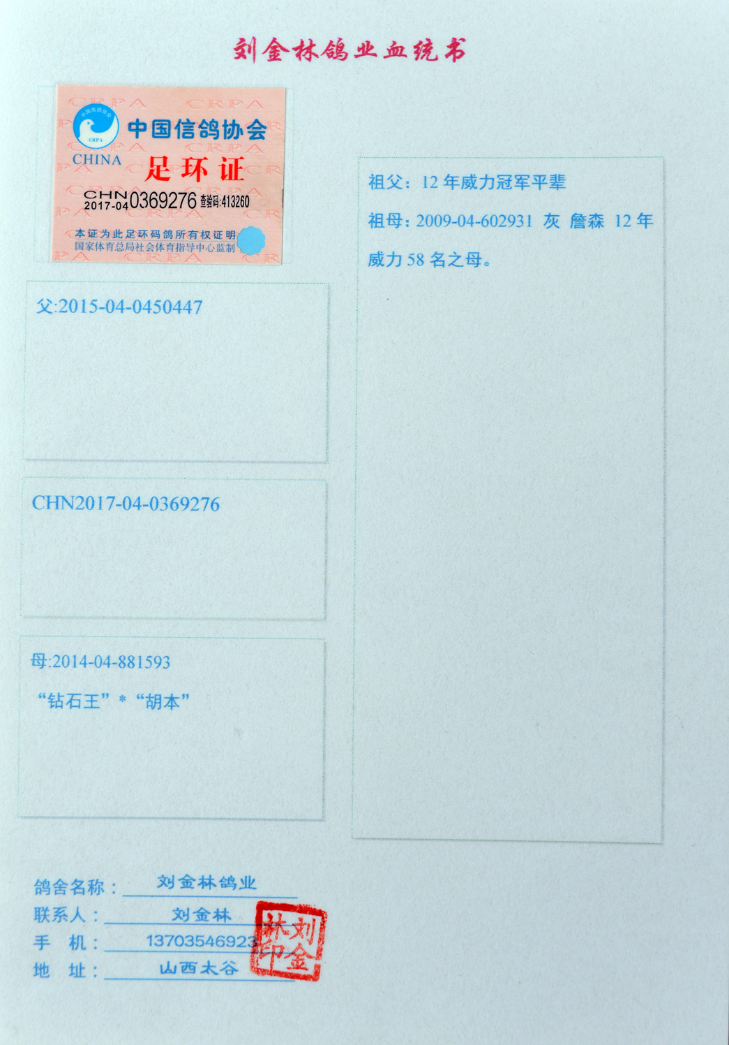 信鸽在线拍卖平台 - 中国信鸽信息网