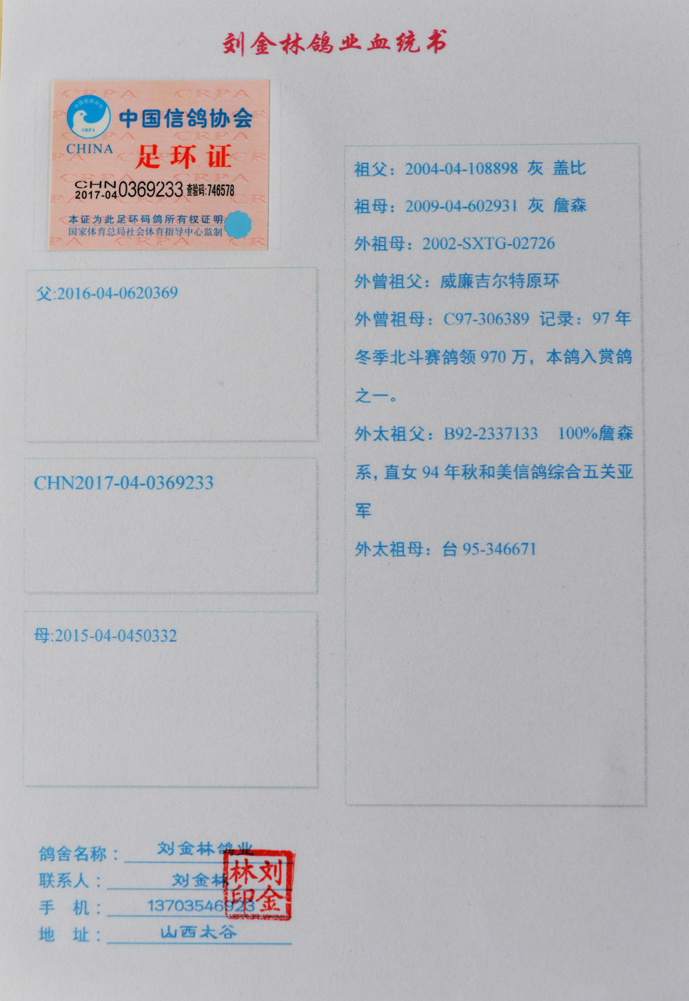 信鸽在线拍卖平台 - 中国信鸽信息网