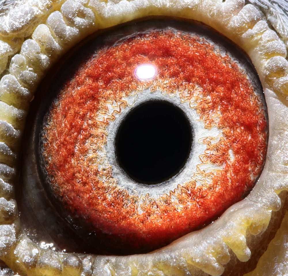 >> 查看拍卖商品