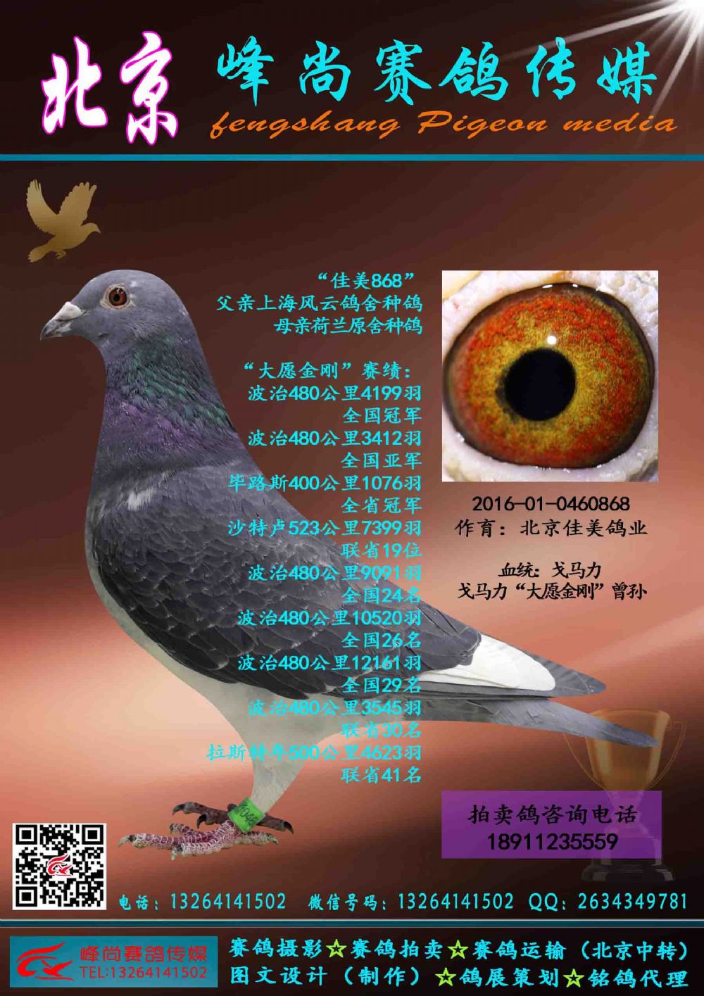 查看拍卖商品