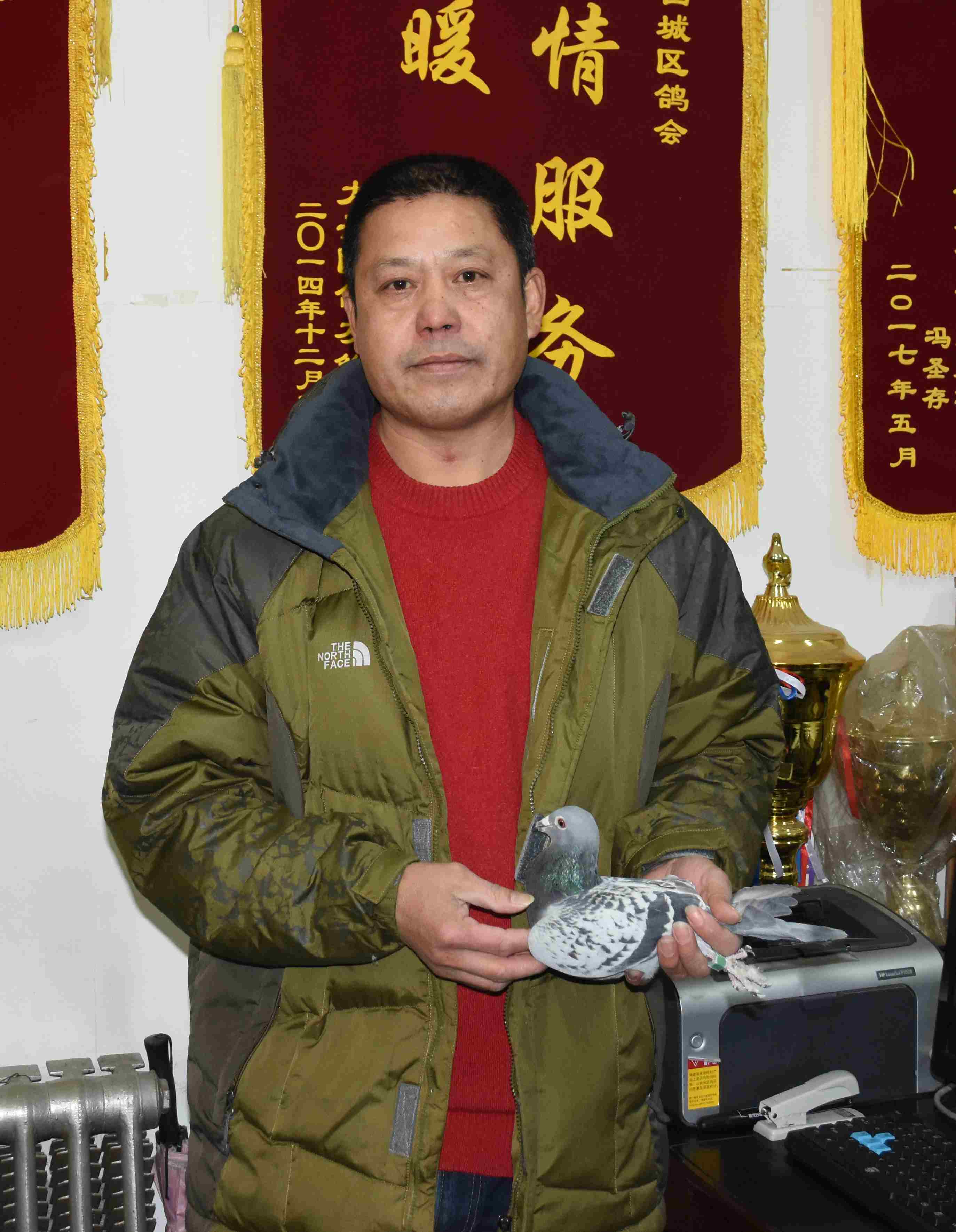 信鸽在线拍卖平台 - 中国信鸽信息网