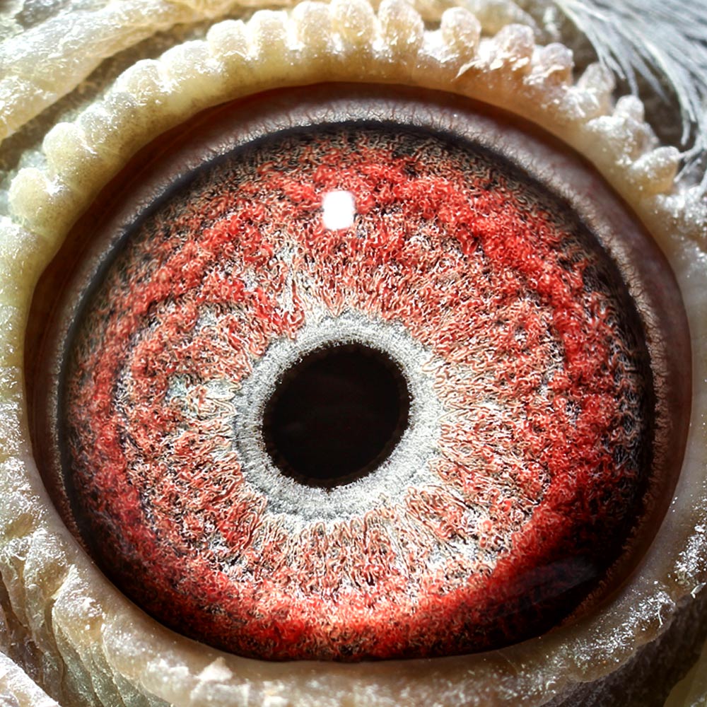 点击查看此商品大图片