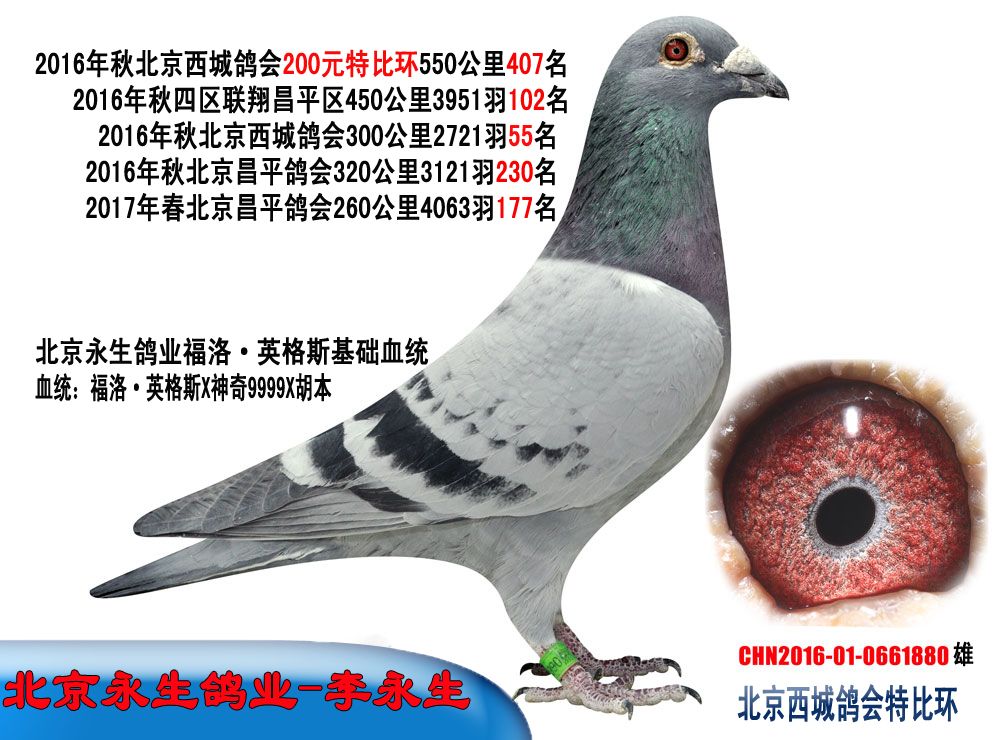 >> 查看拍卖商品