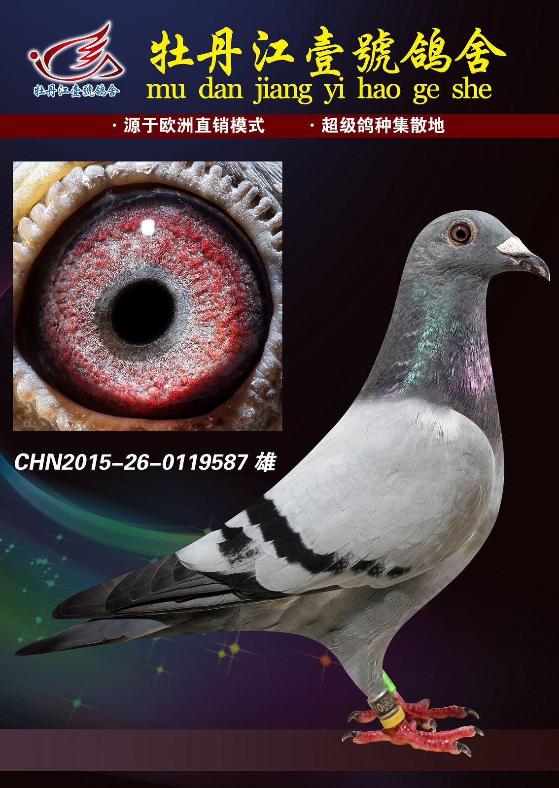 >> 查看拍卖商品