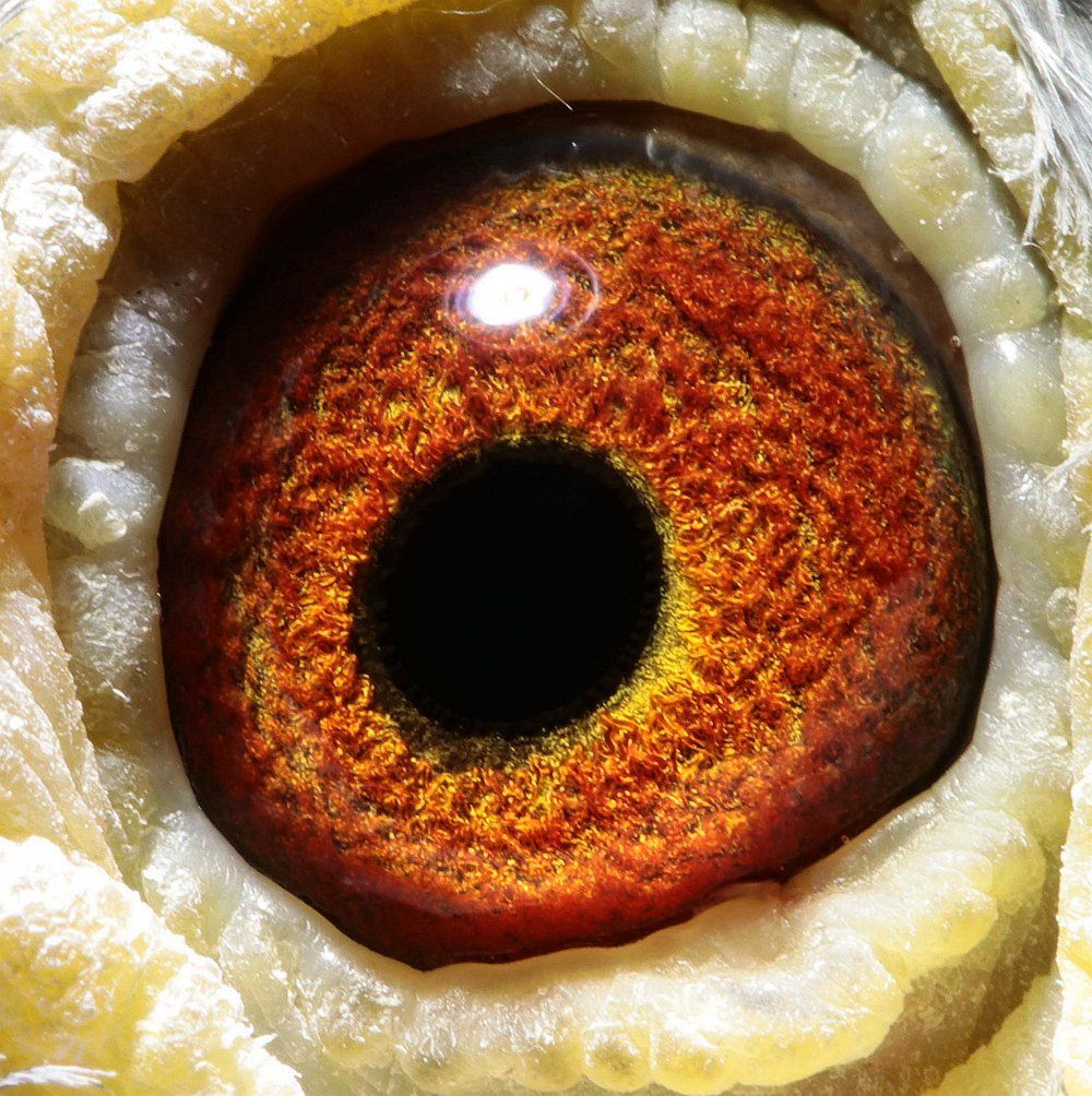 300公里53名 保证金级 拍卖