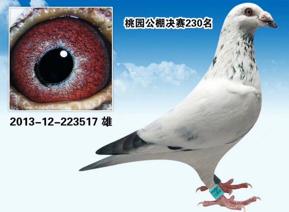 >> 查看拍卖商品