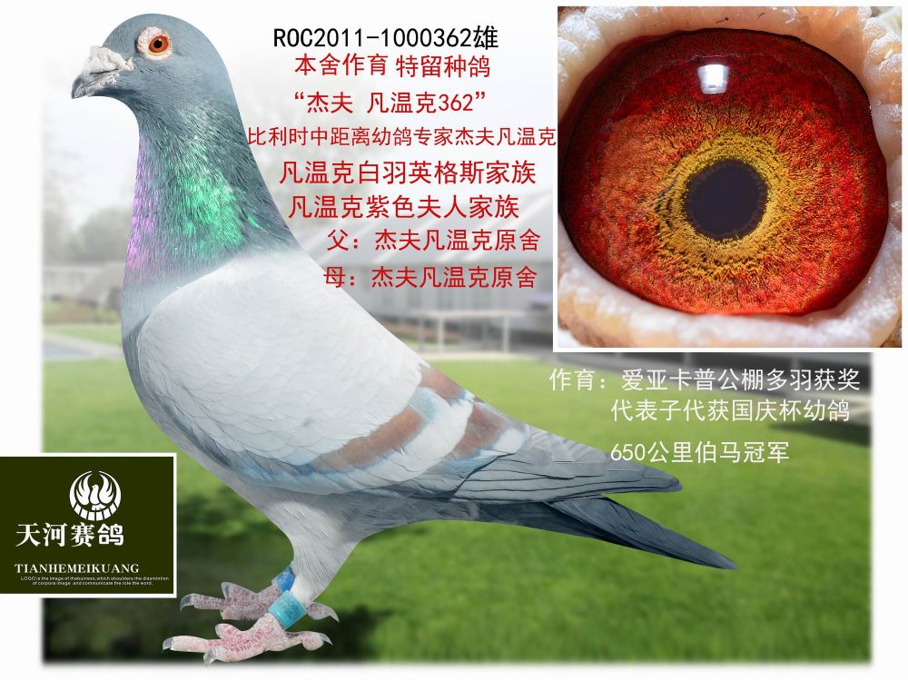 >> 查看拍卖商品