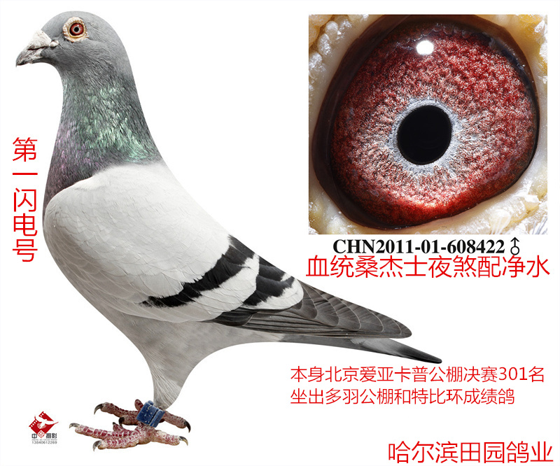 >> 查看拍卖商品