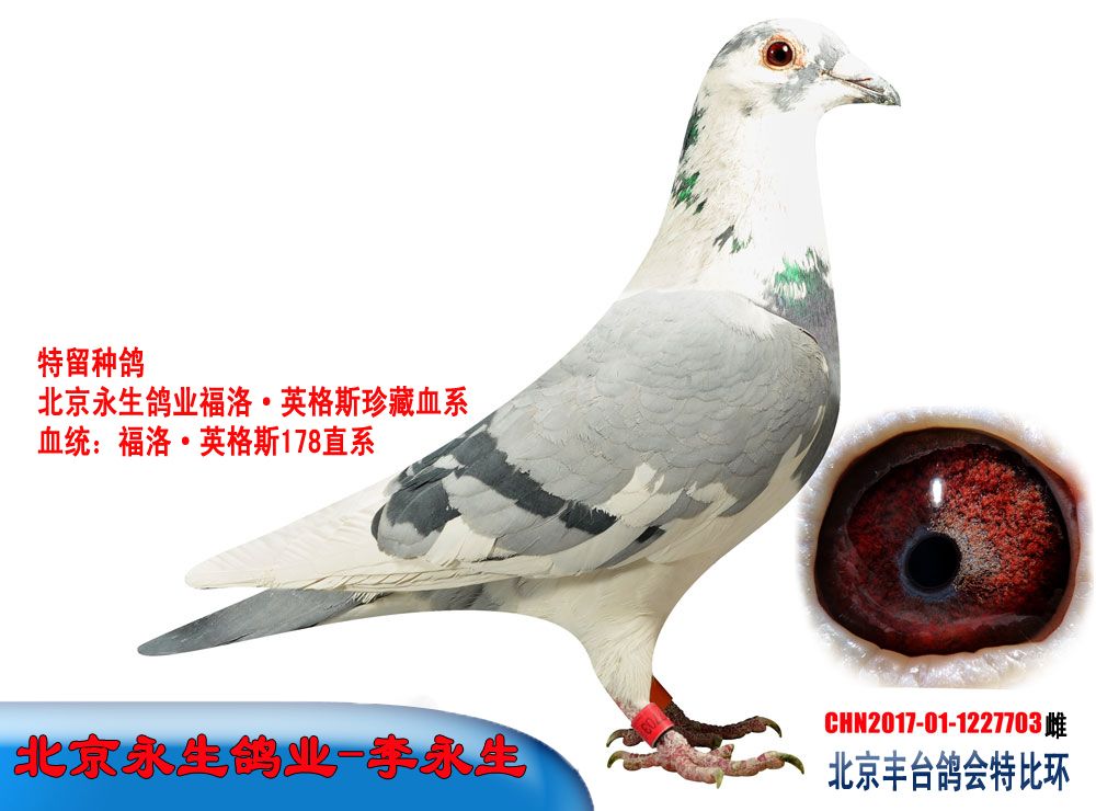 >> 查看拍卖商品