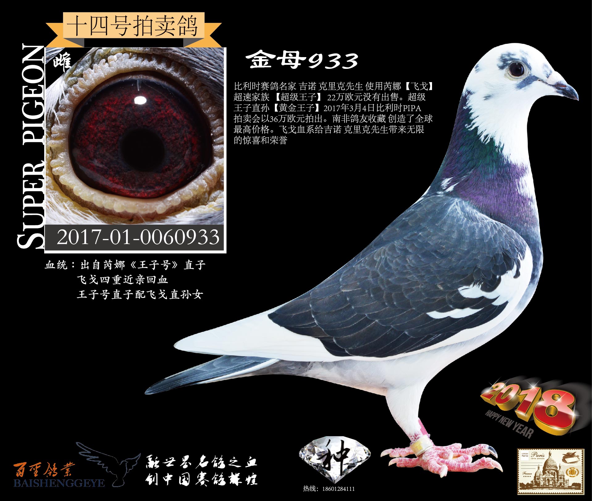 >> 查看拍卖商品