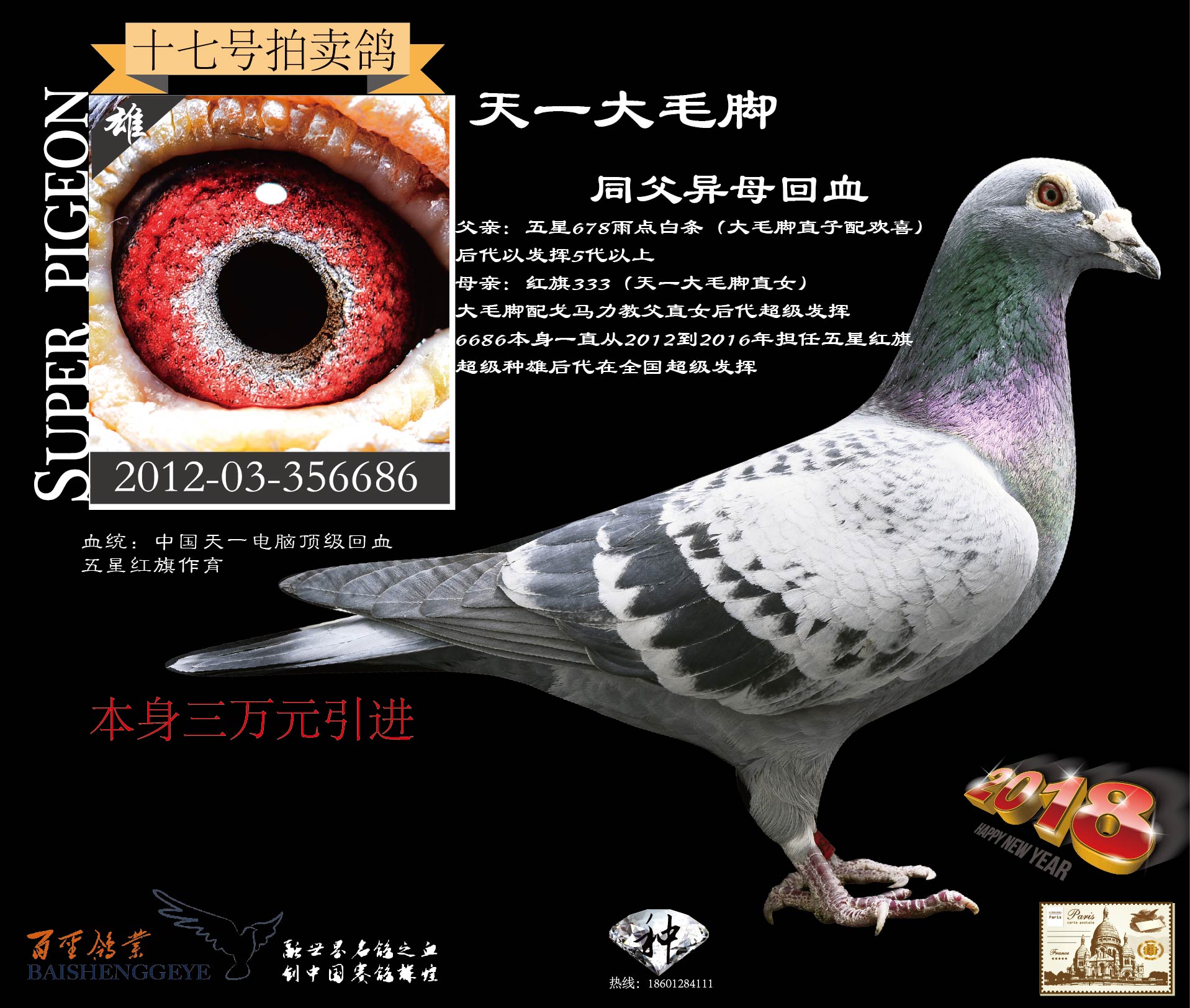 百圣鸽舍 - 中信网铭鸽展厅 www.ag188.com