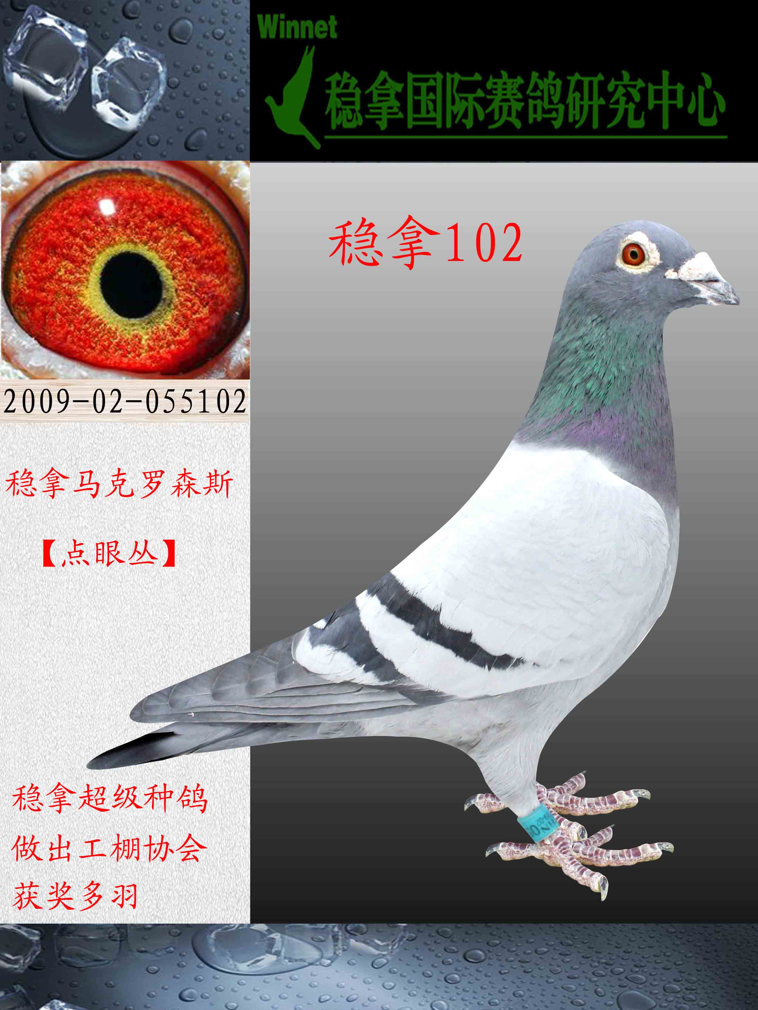 >> 查看拍卖商品