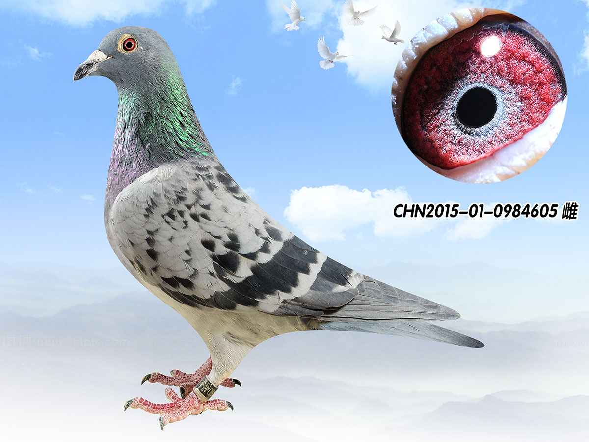 注意直达无法到达的,需要中转的,中转一切费用自付.