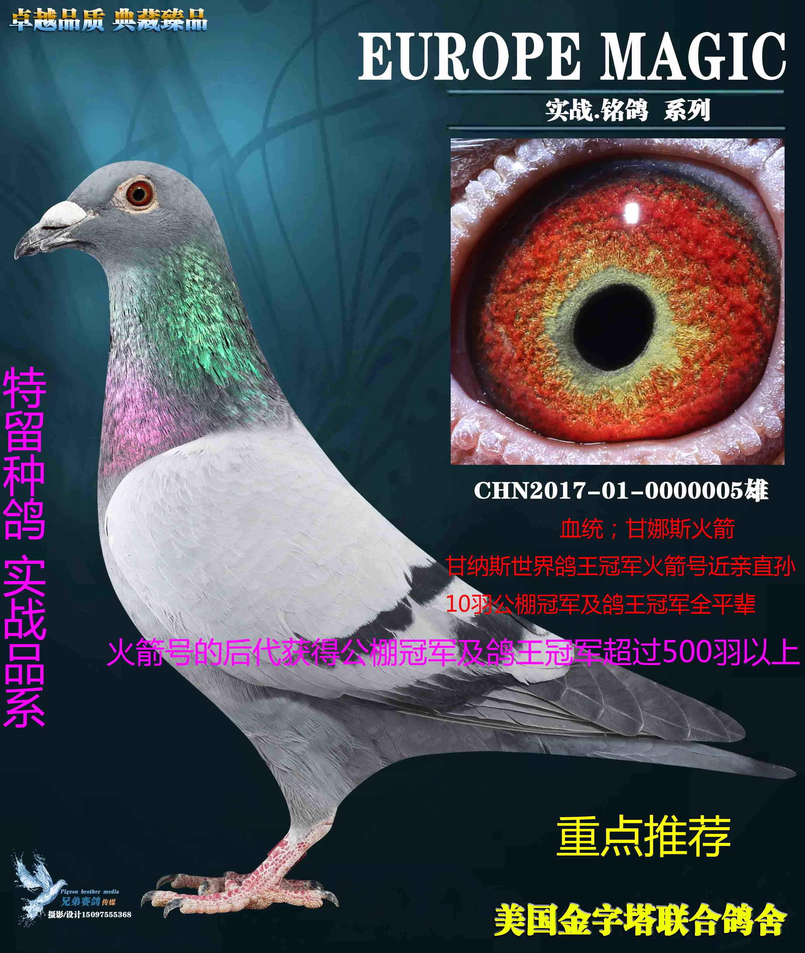 美国金字塔联合鸽舍 - 中信网铭鸽展厅 www.ag188.com