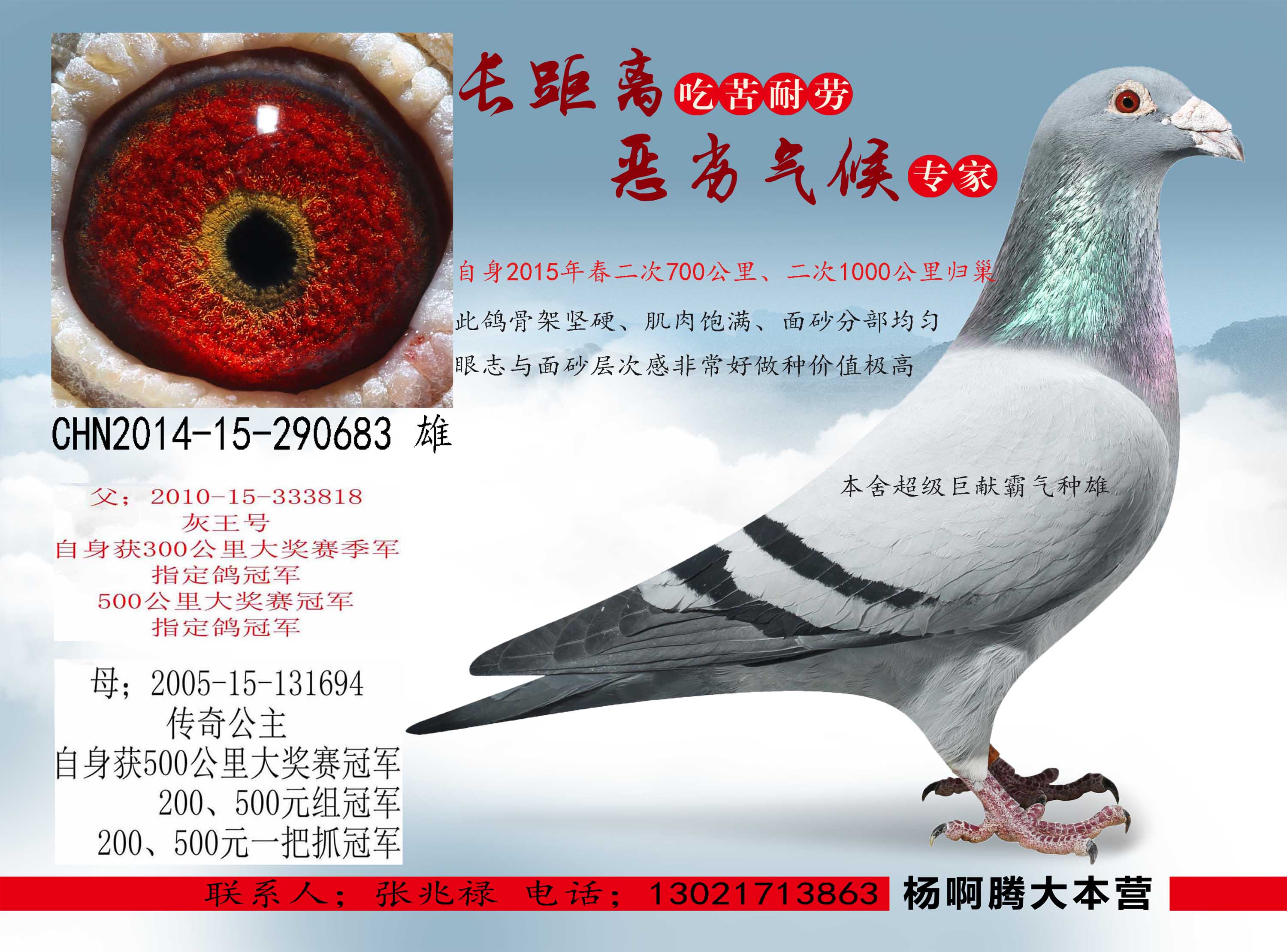 信鸽拍卖首页 拍卖专题 >> 查看拍卖商品 相关图片         商品信息