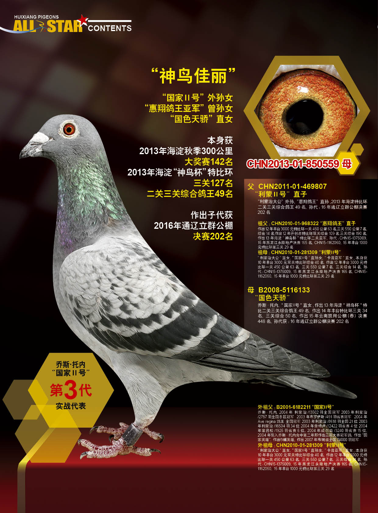 >> 查看拍卖商品