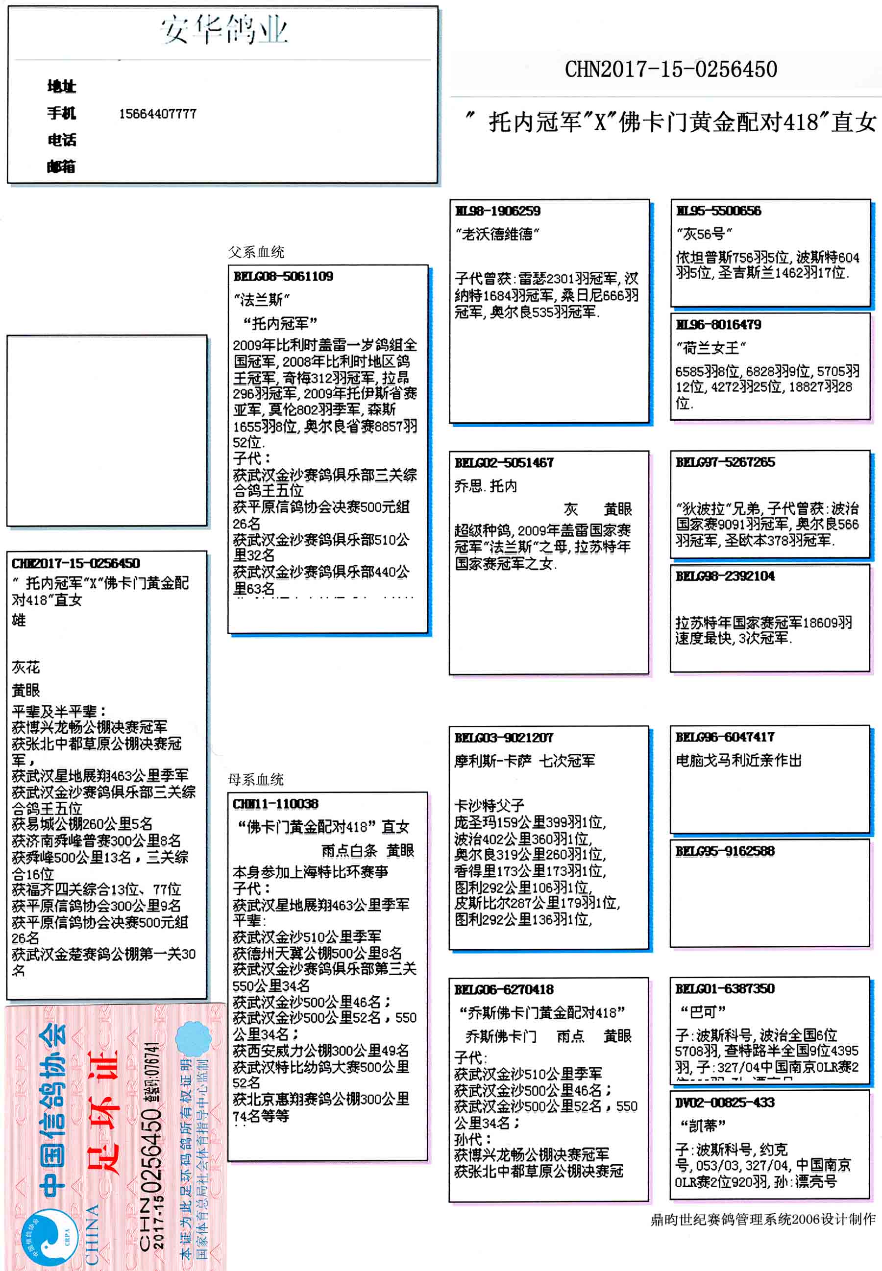 安华鸽业种鸽展厅图片