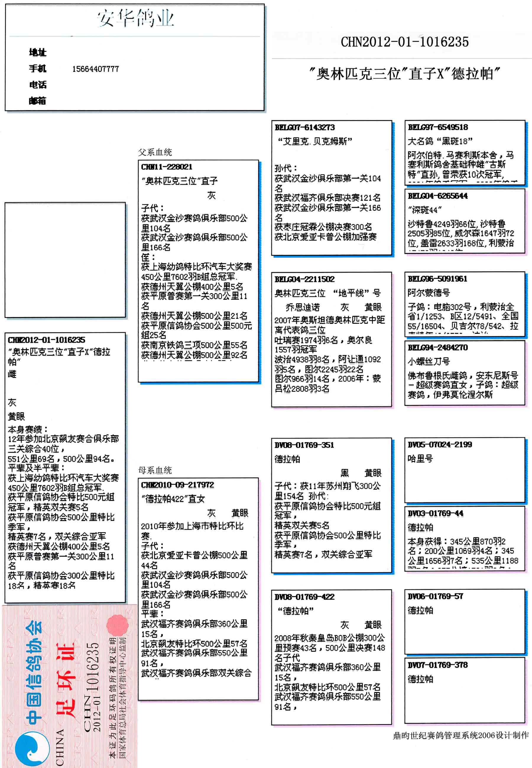 安华鸽业种鸽展厅图片