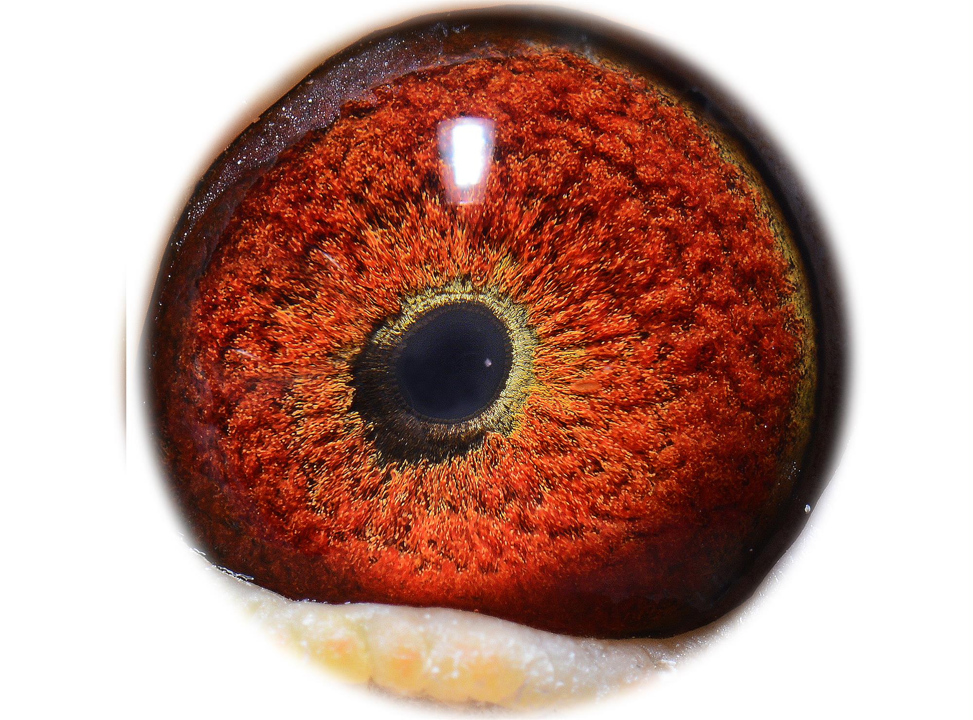 >> 查看拍卖商品