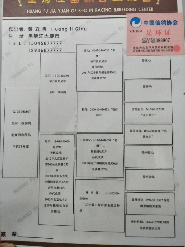 黑龙江永利皇府老鹰号图片