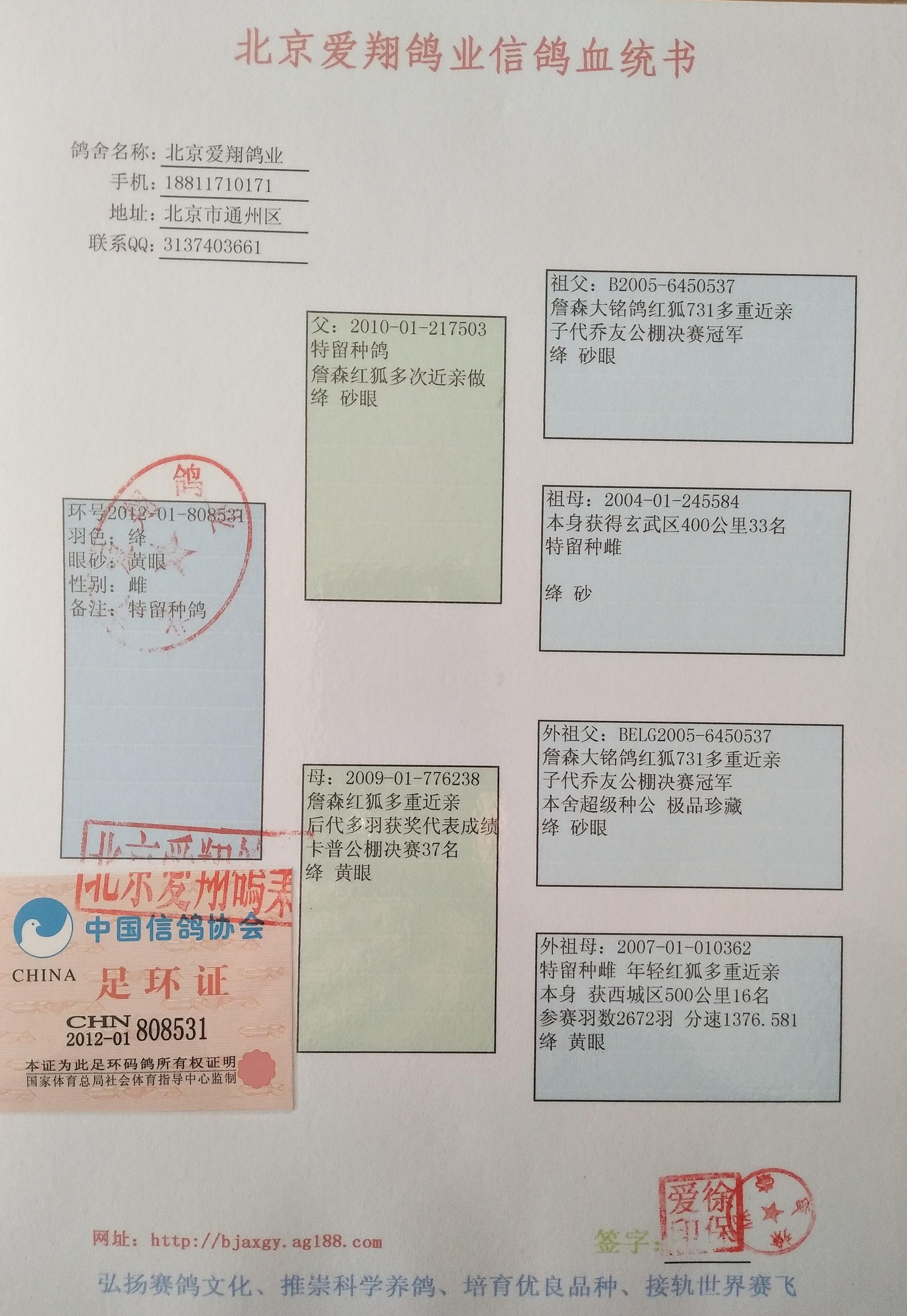 >> 查看拍卖商品