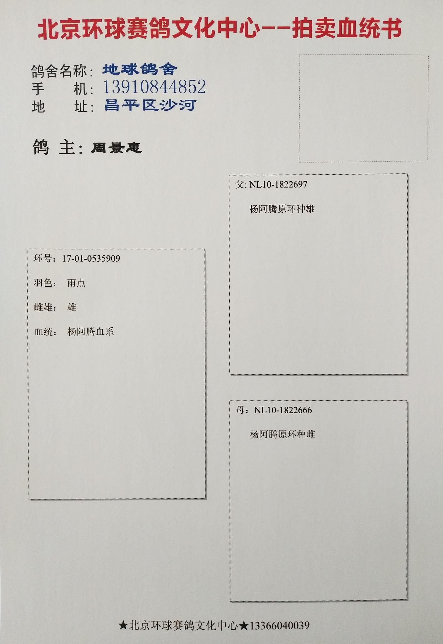 信鸽在线拍卖平台 - 中国信鸽信息网