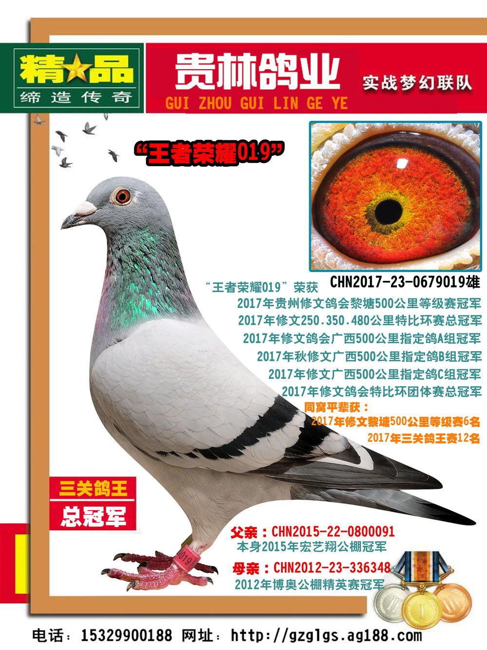 >> 查看拍卖商品