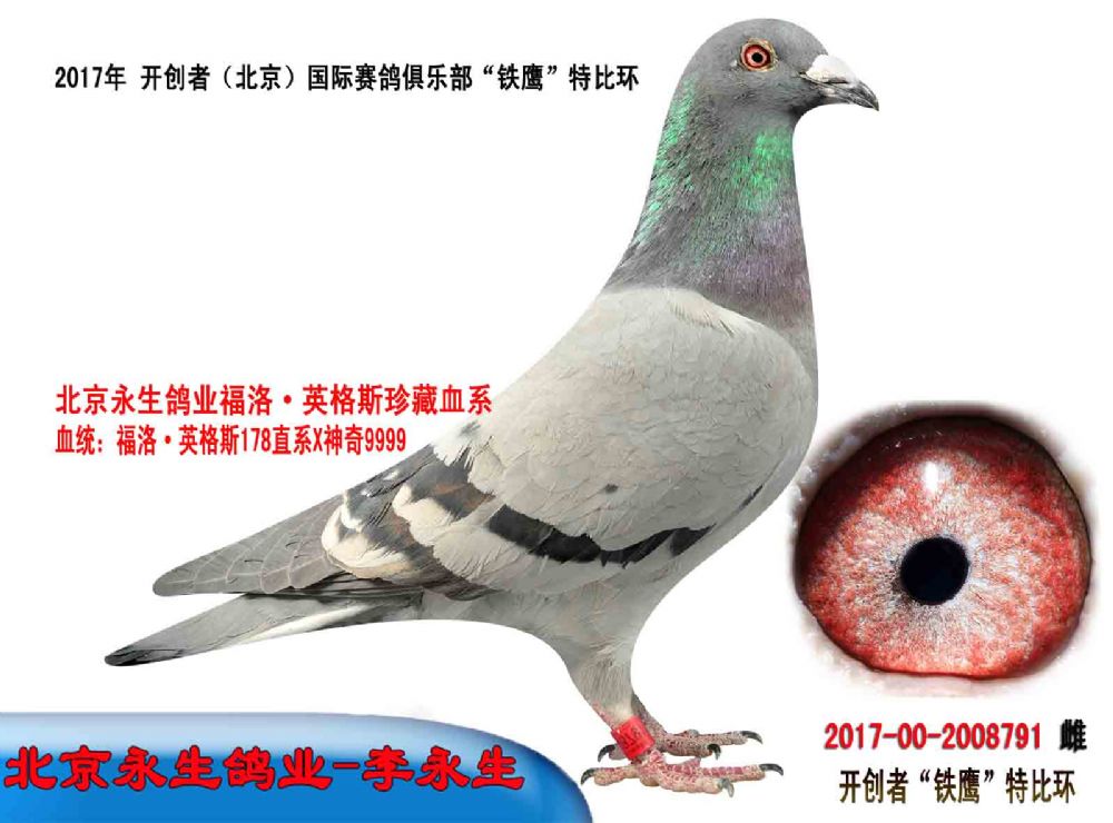 >> 查看拍卖商品