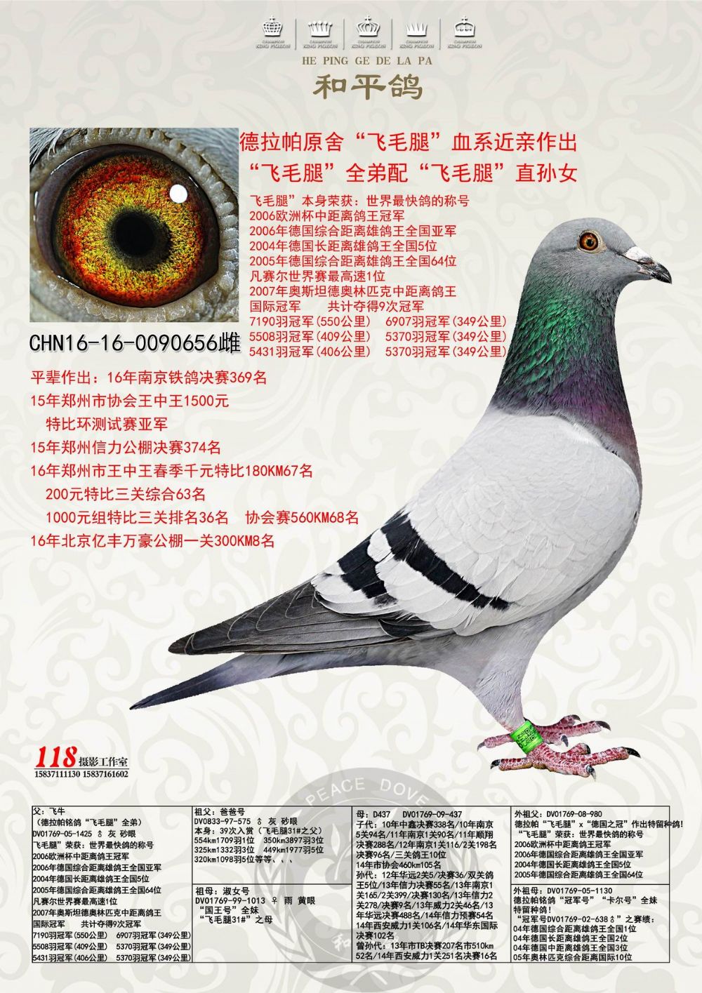 德拉帕原舍飞毛腿血系近亲作出 保证金级 拍卖