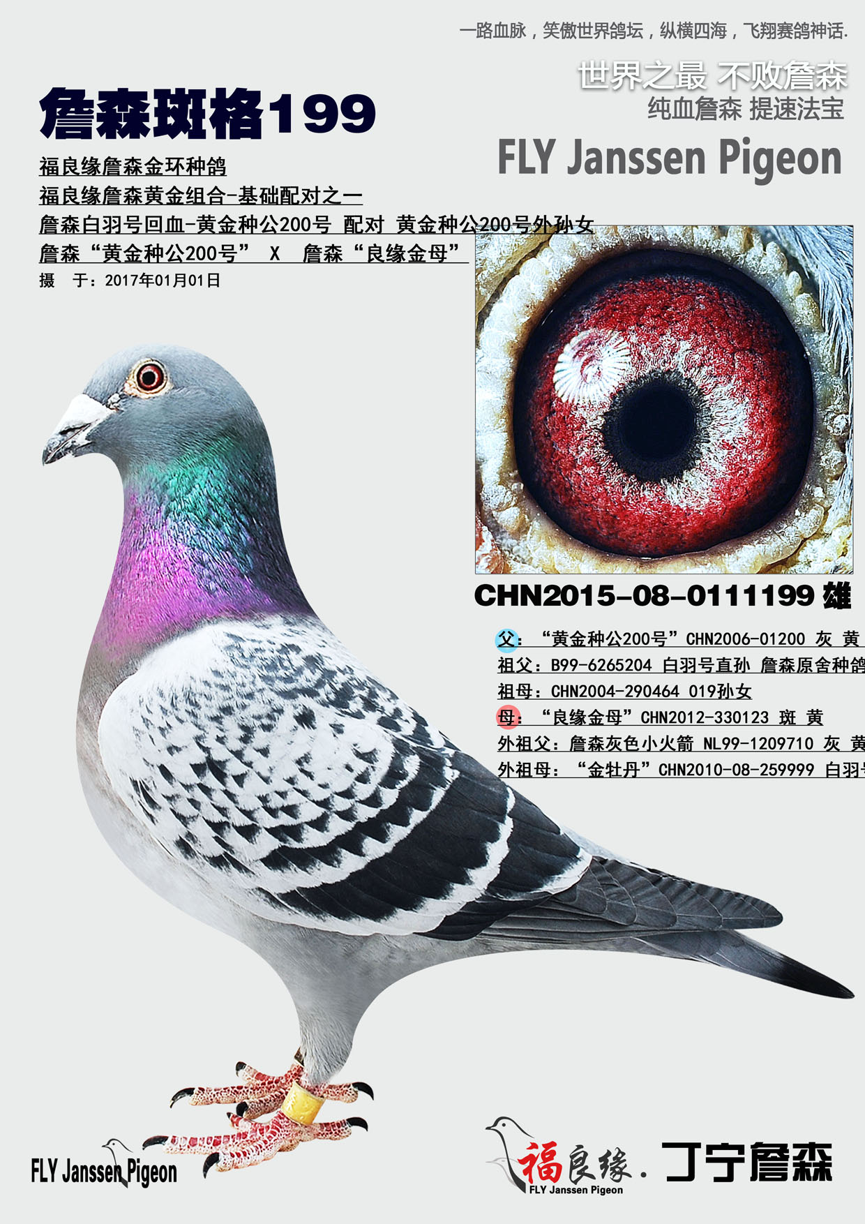 >> 查看拍卖商品