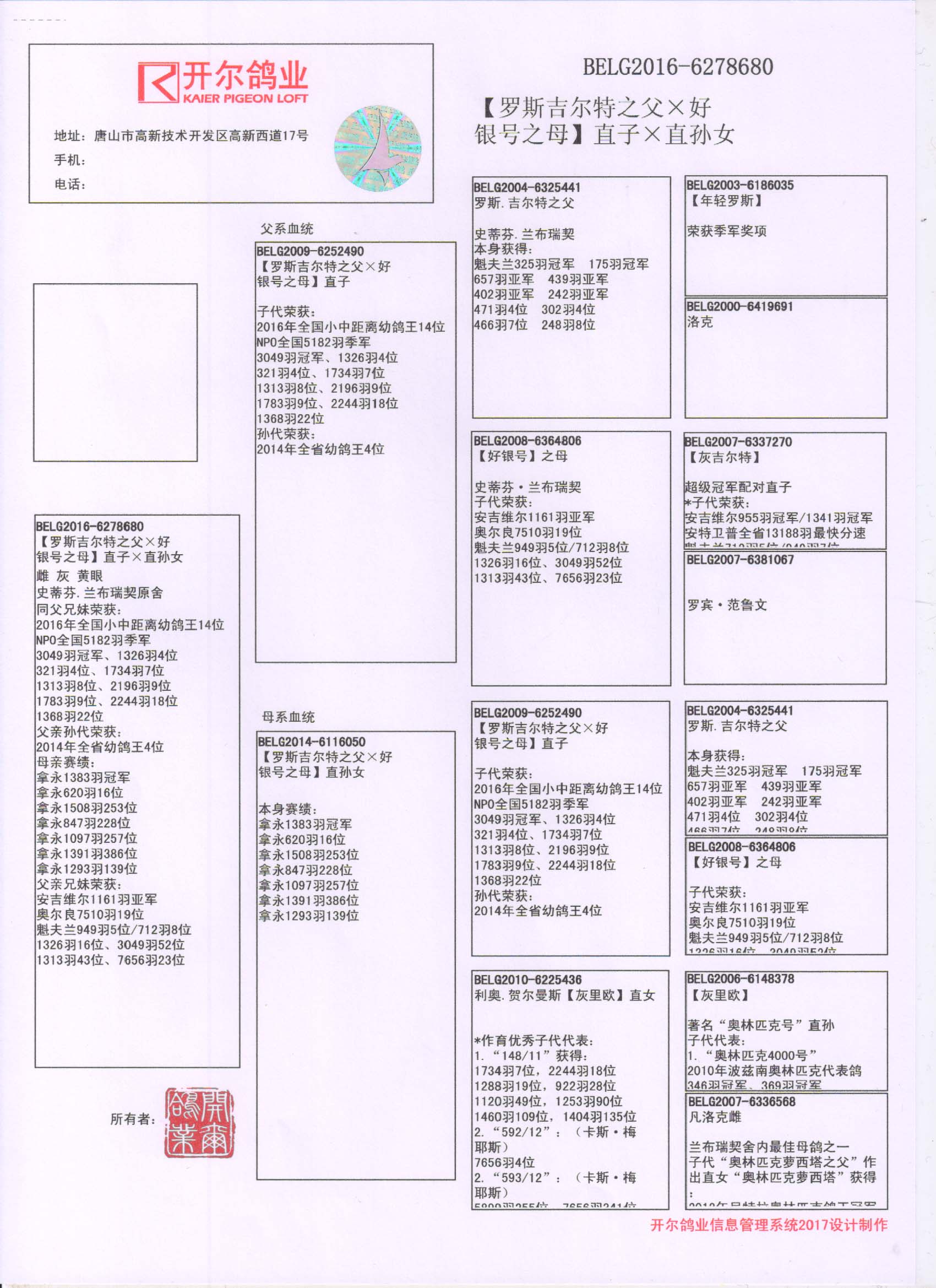 信鴿在線拍賣平臺 - 中國信鴿信息網