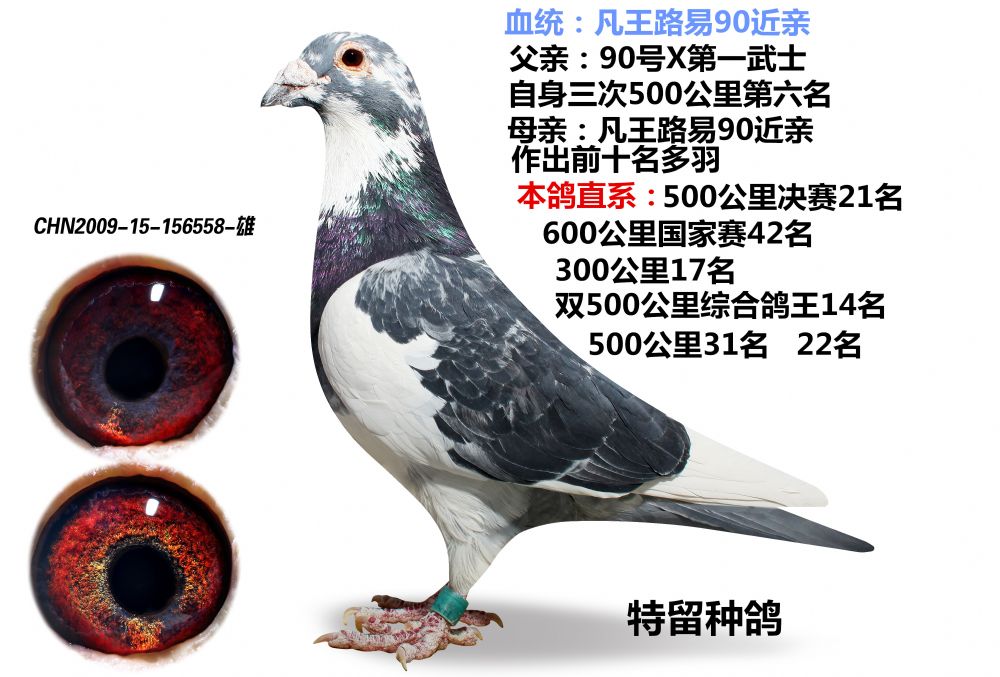 >> 查看拍卖商品