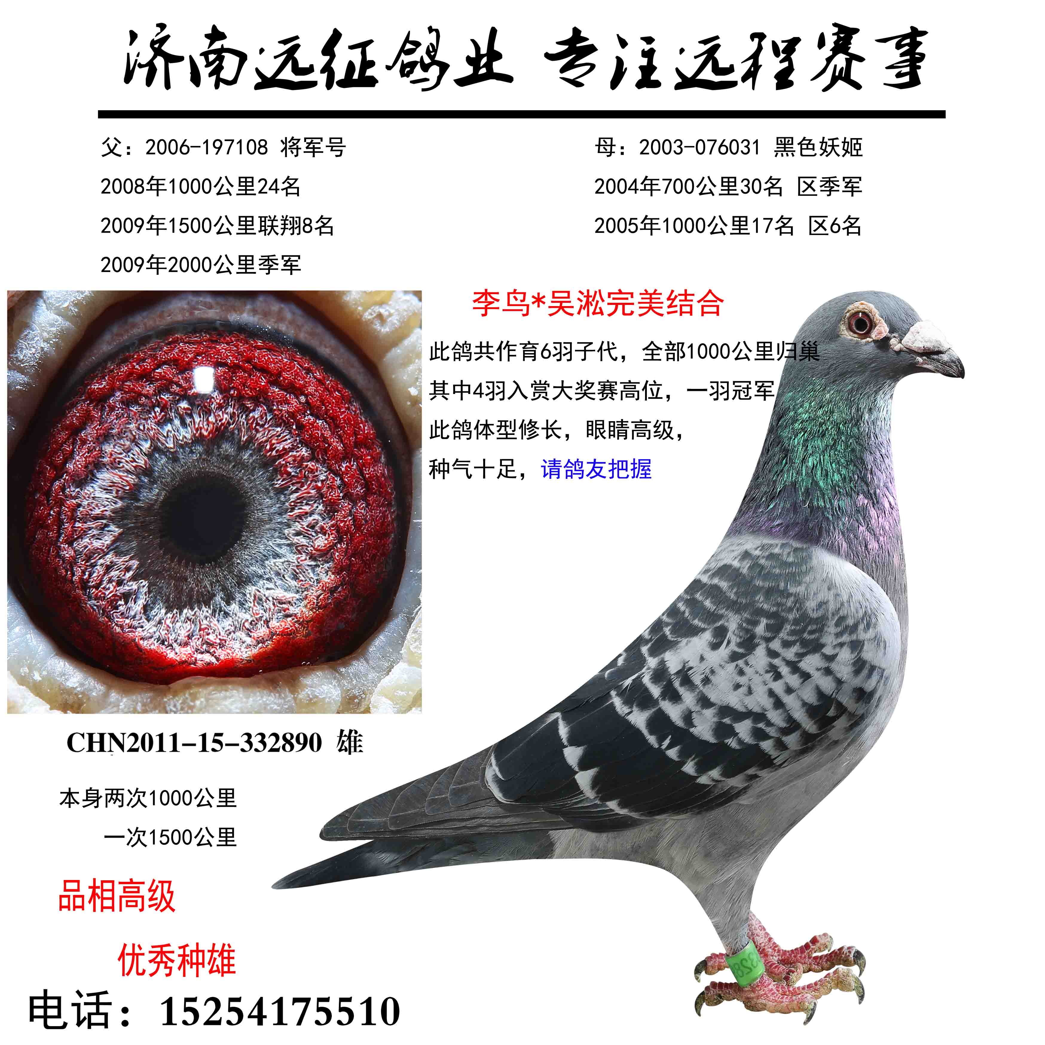 信鸽拍卖首页 拍卖专题 >> 查看拍卖商品