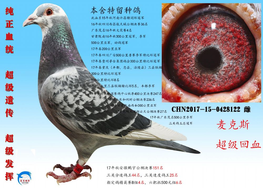 >> 查看拍卖商品