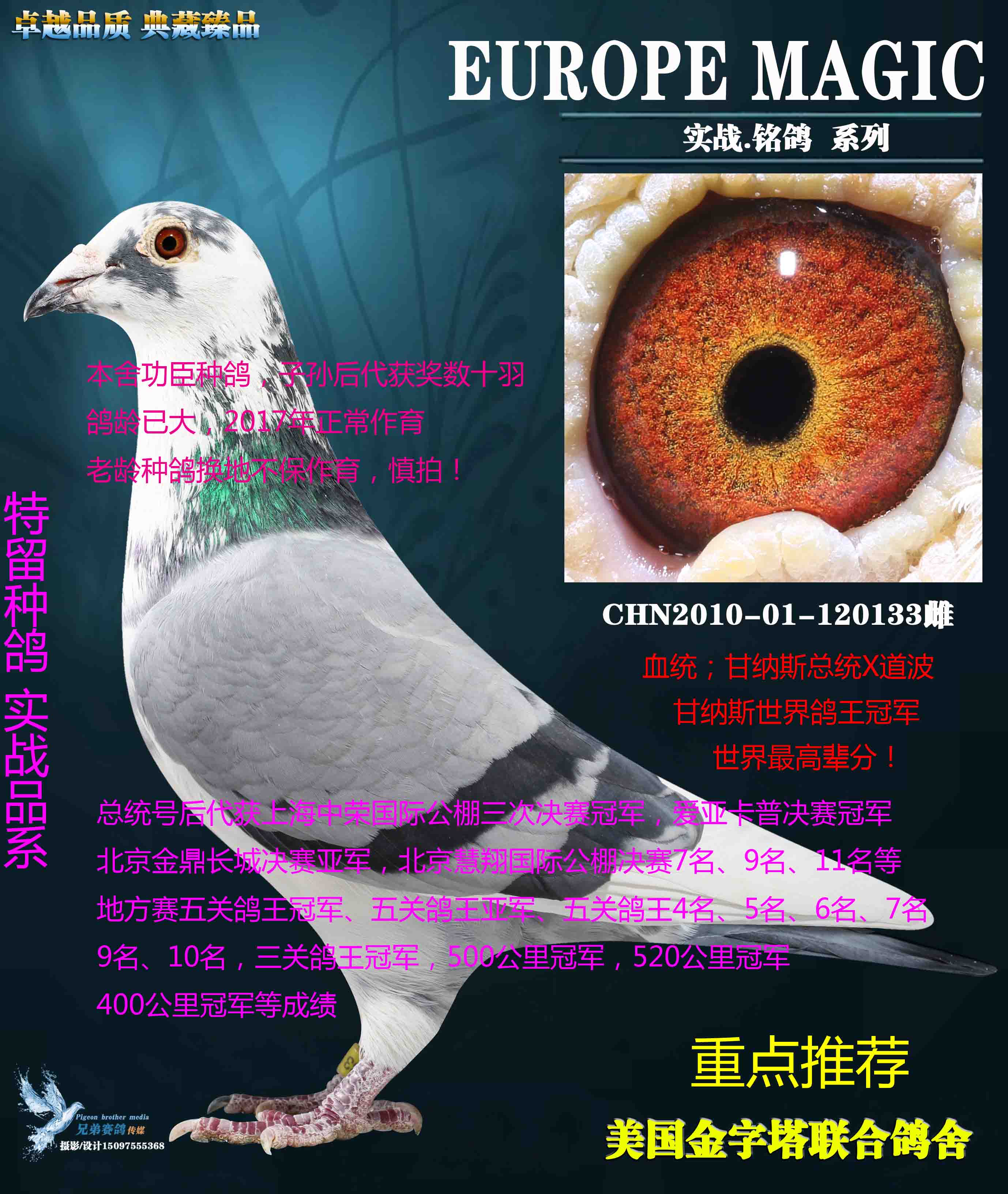 >> 查看拍卖商品