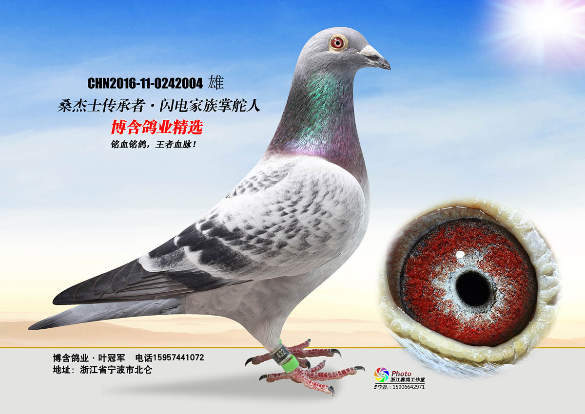 闪电教父直孙 保证金级 拍卖