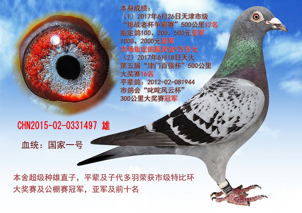 >> 查看拍卖商品