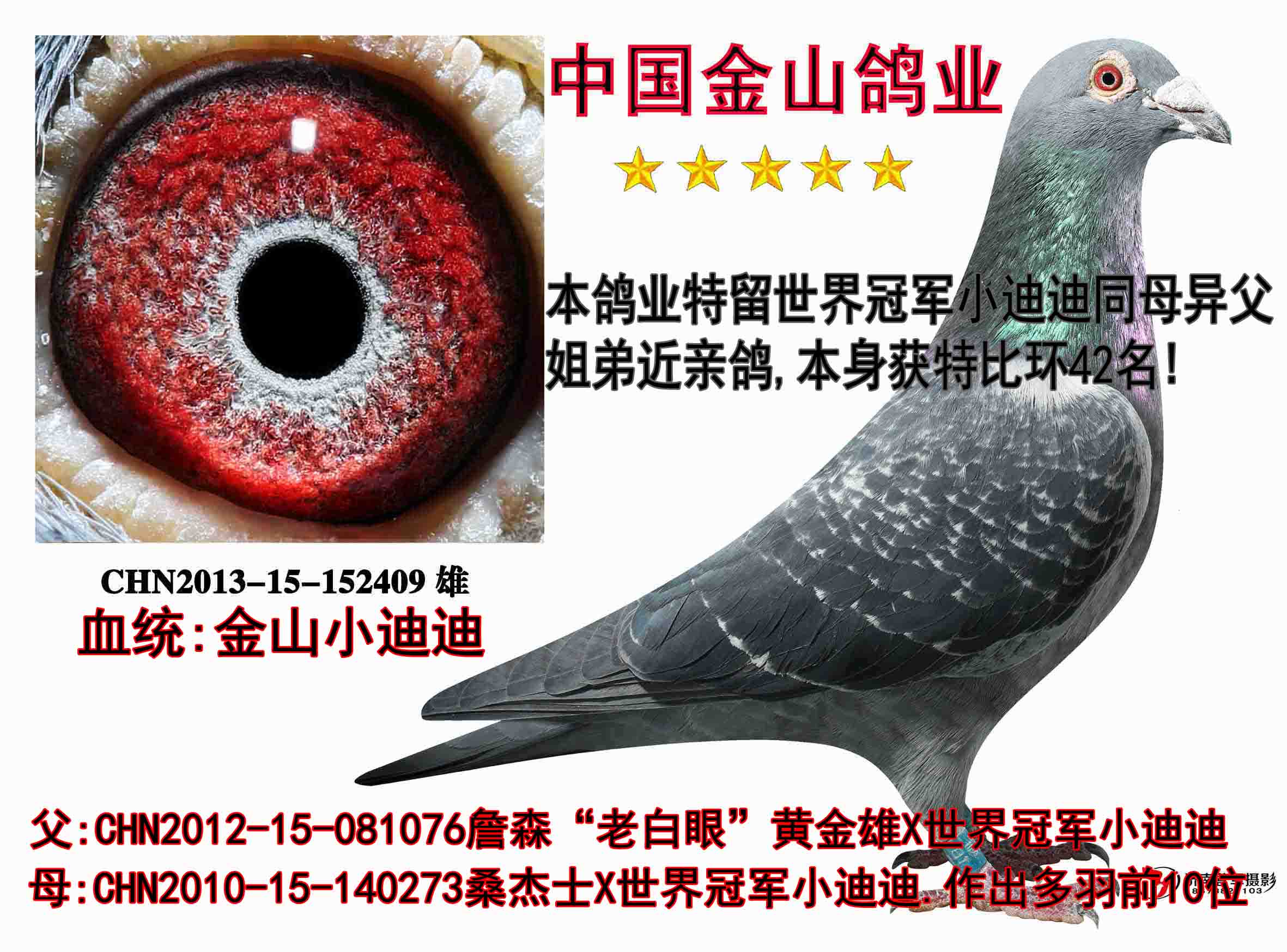 世界冠军小迪迪同母异父近亲特比环42名