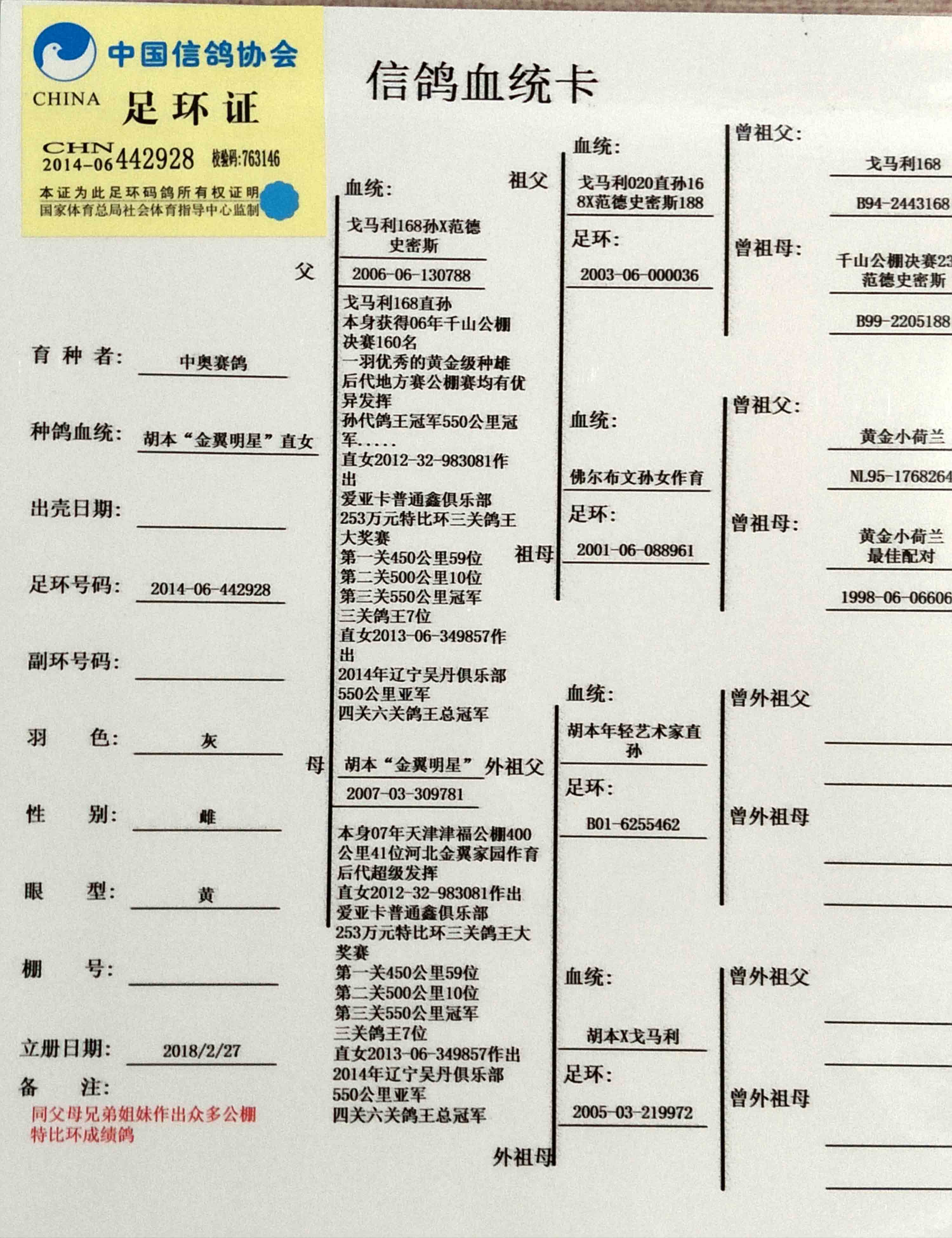 信鸽在线拍卖平台 - 中国信鸽信息网