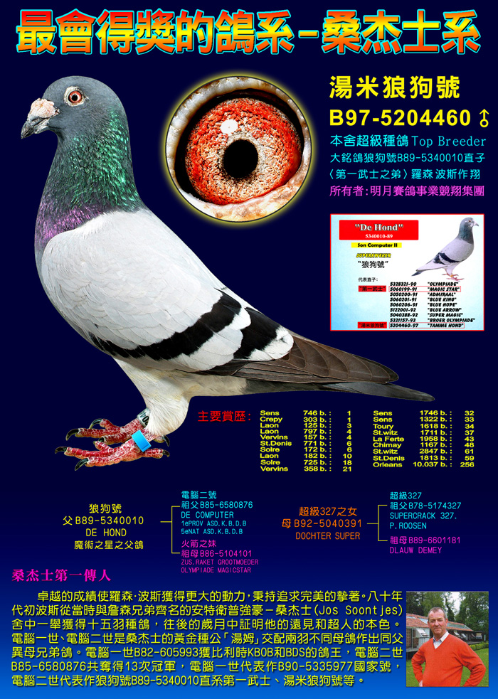 0537鸽舍 - 中信网铭鸽展厅 www.ag188.com