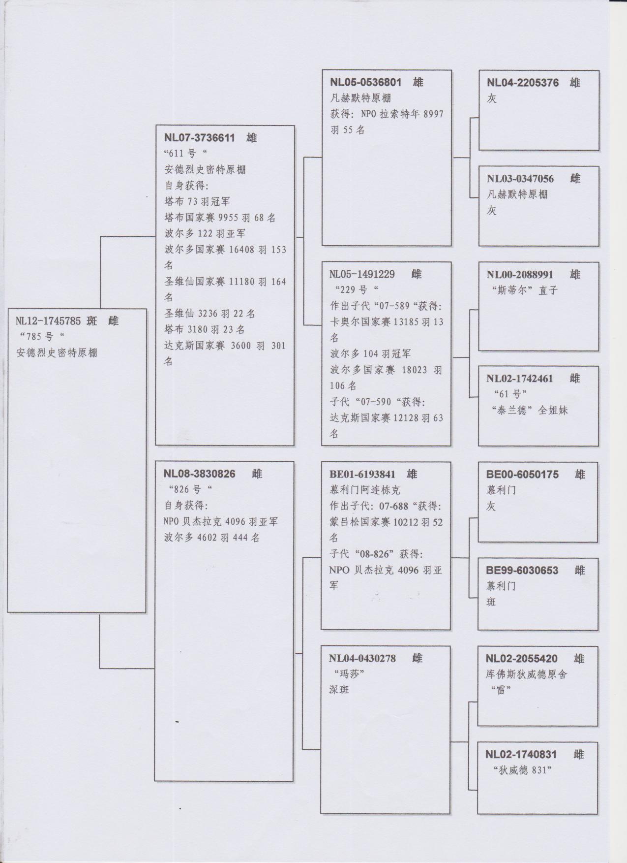 >> 查看拍卖商品