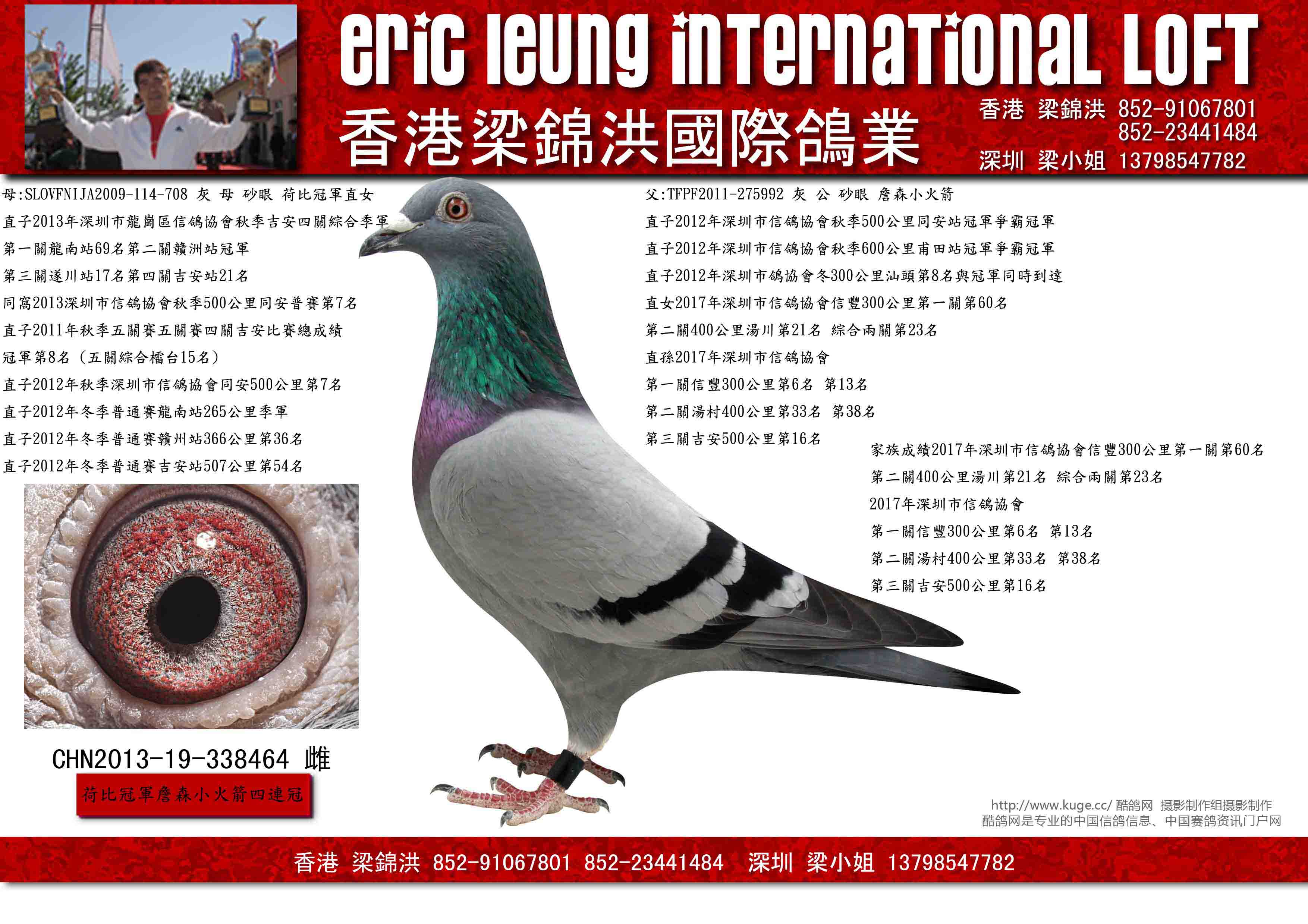 香港梁锦洪国际鸽业 - 中信网铭鸽展厅 www.ag188.com