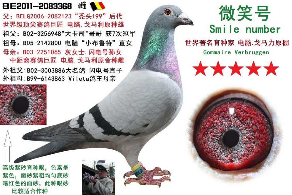 >> 查看拍卖商品